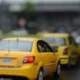 taxistas 980x692 2 80x80